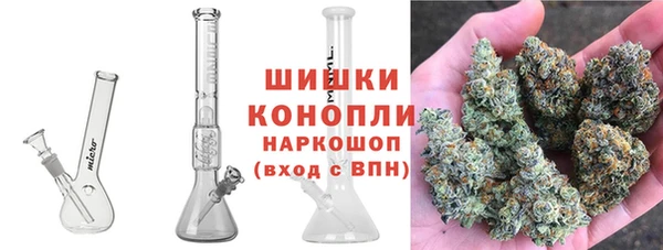 мяу мяу мука Абаза