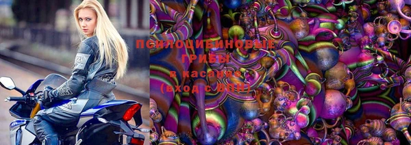 мяу мяу мука Абаза